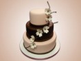 /album/shaped/tan-brown-cake-orchids-city-cakes-jpg/