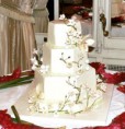 /album/boda-tradicional/weddingcake06-jpg/